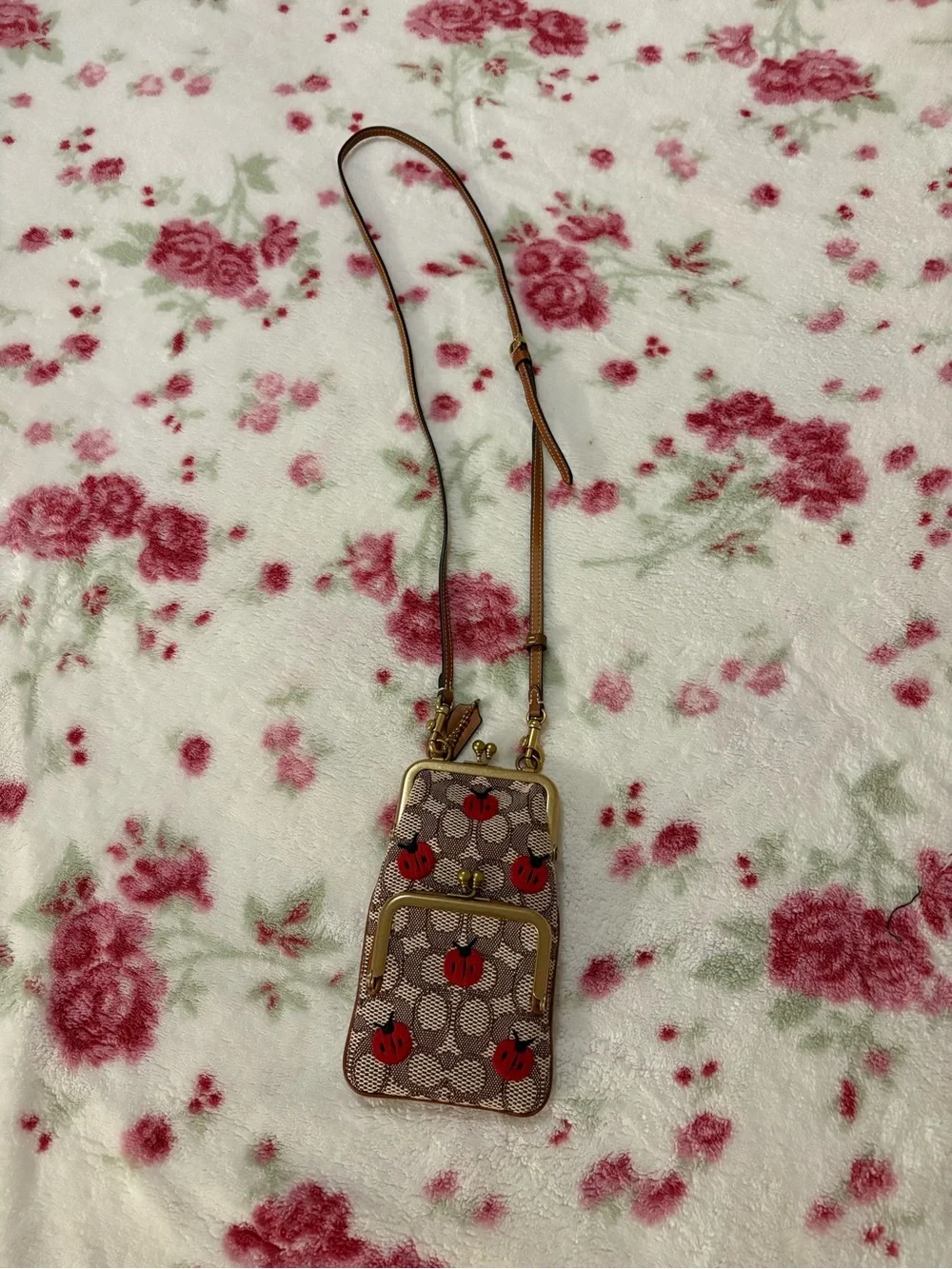 Coach Signature Ladybug Kisslock super rare HTF prestine condition